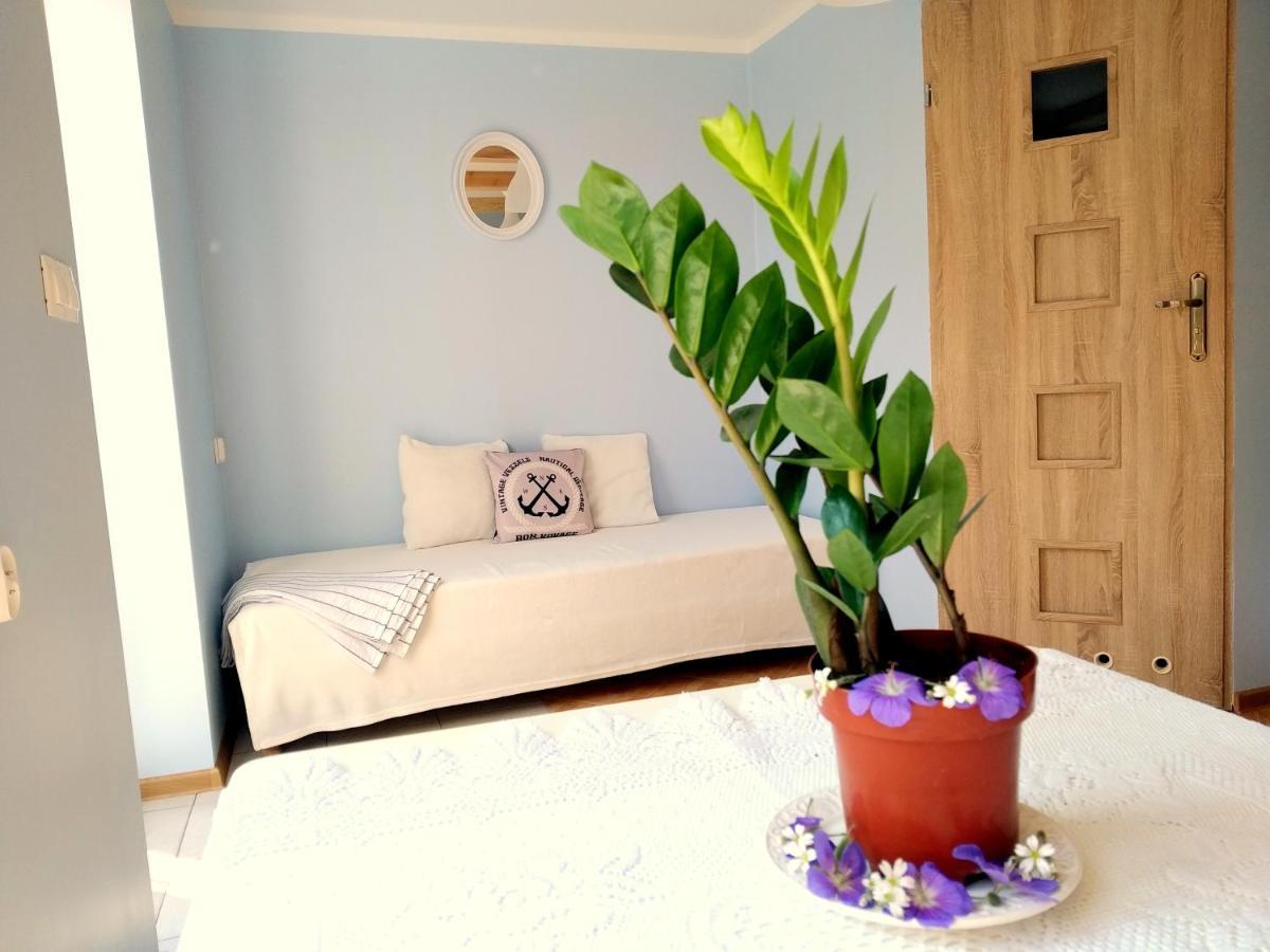 Oaza Homestay